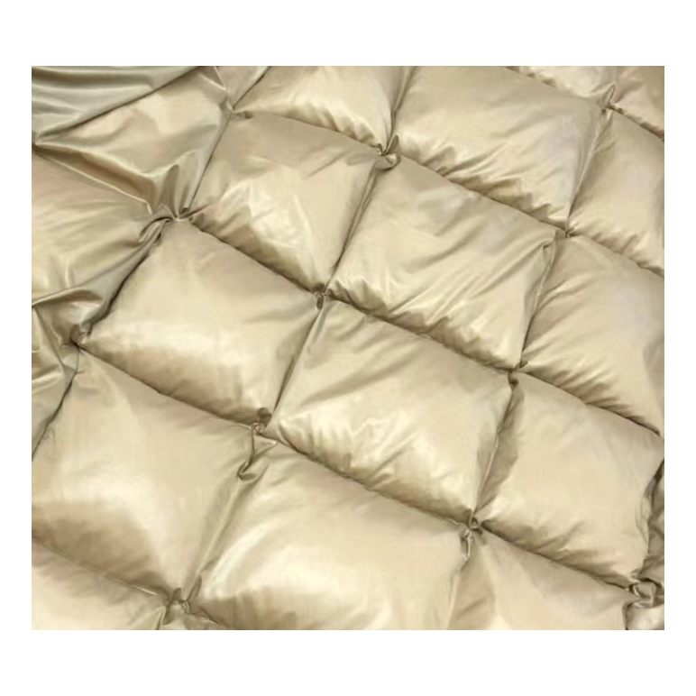 Moncler Gold-Lined Glossy Long Puffer Coat – Black Gold Interior Premium Down