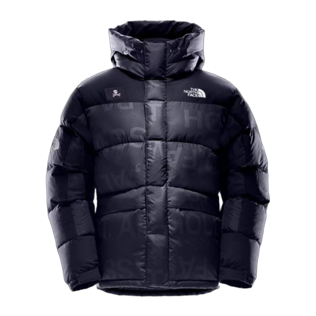 The North Face Urban Exploration Special Series Down Parka – Style 5J27